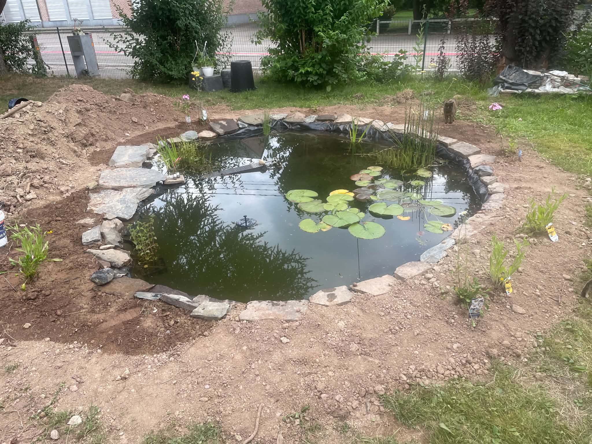 Habillage des berges avec des pierres naturelles