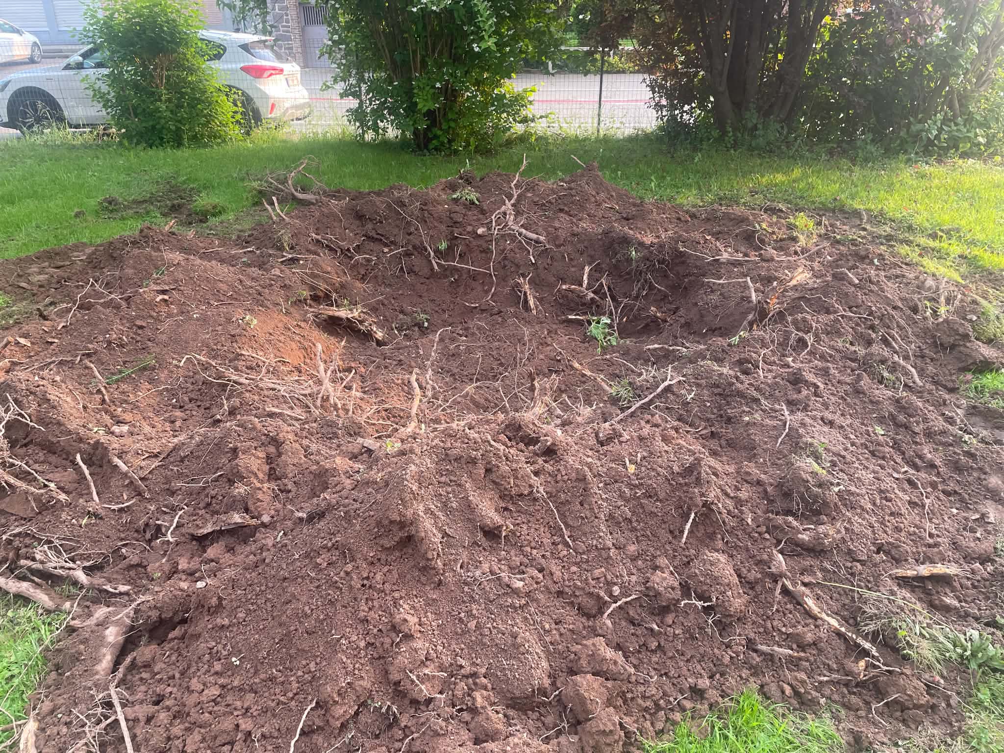 Terrassement avec extraction de terre et de racines