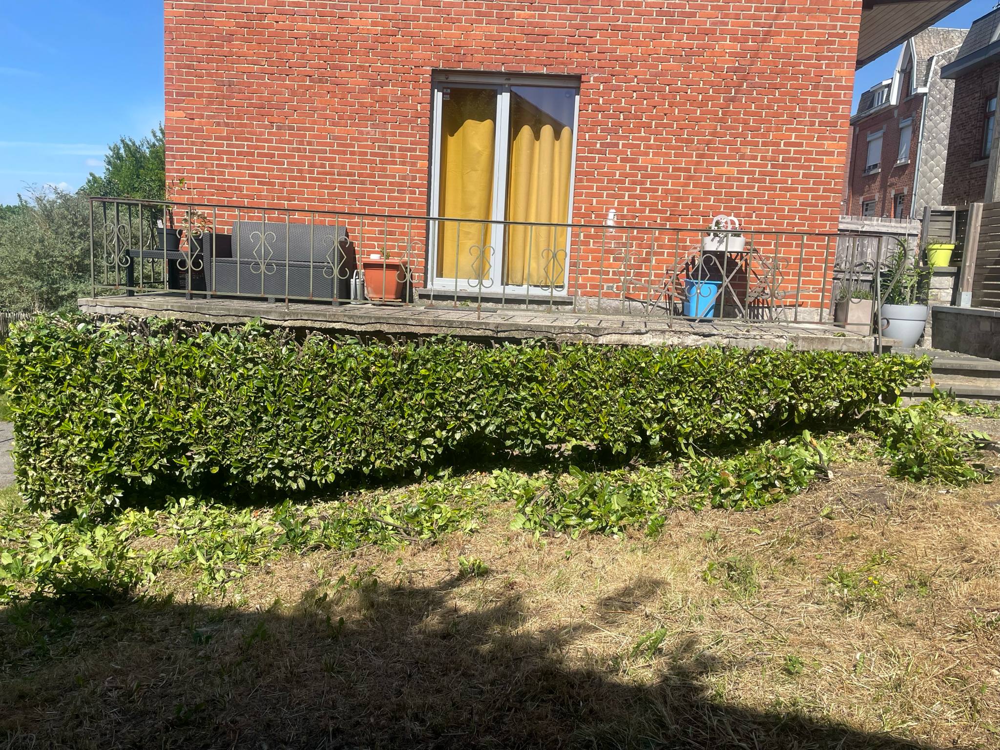 Haie après une taille d’entretien chez un client
